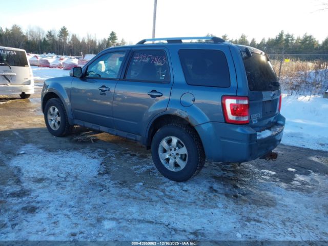 Ford Escape Limited Image 3