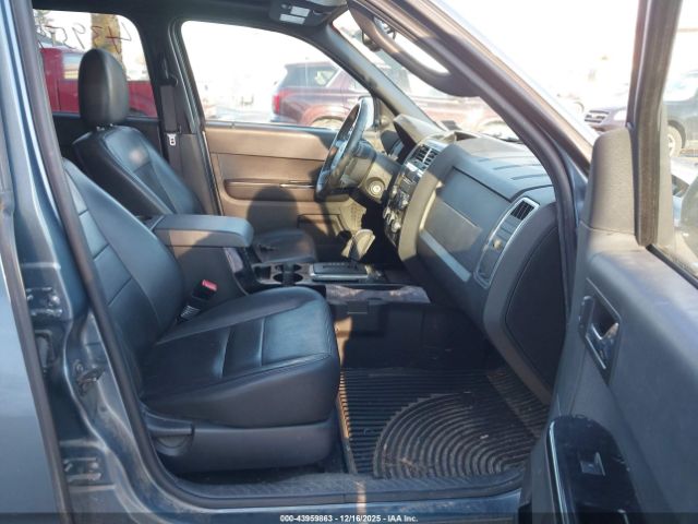 Ford Escape Limited Image 5