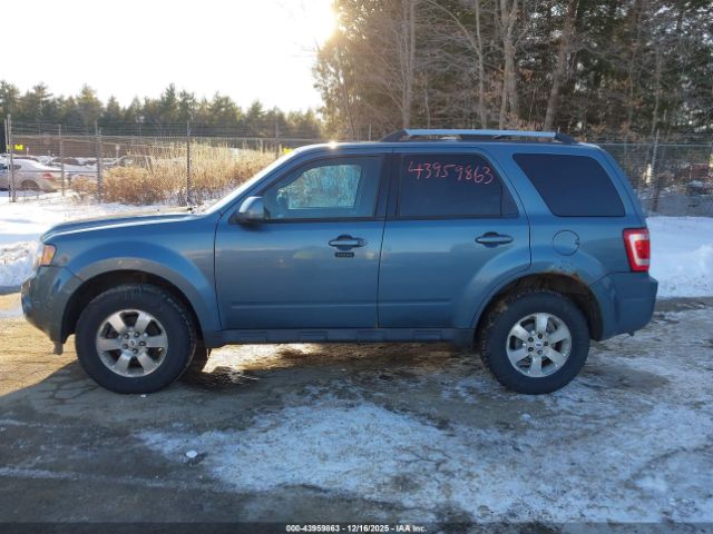 Ford Escape Limited Image 9