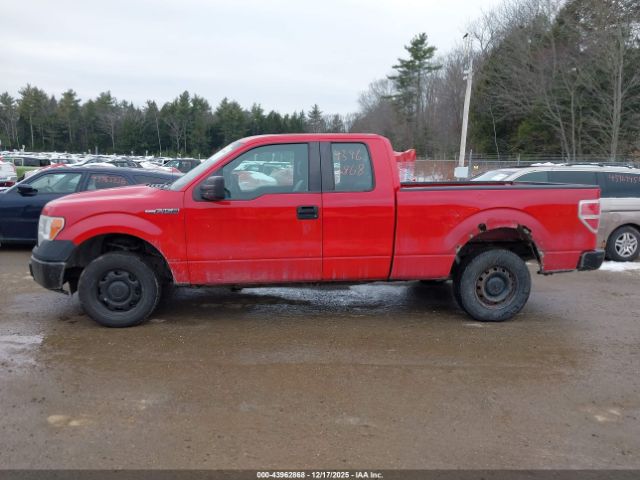 Ford F-150 Xl Image 8