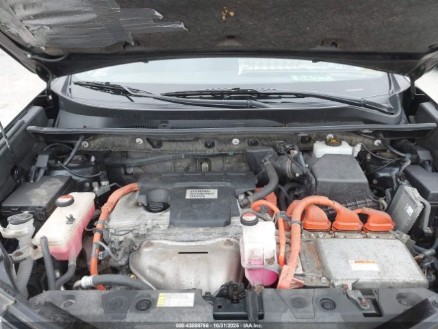 Toyota RAV4 Limited Image 7