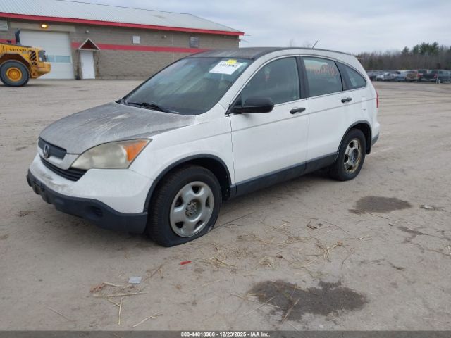 Honda CR-V Lx Image 5