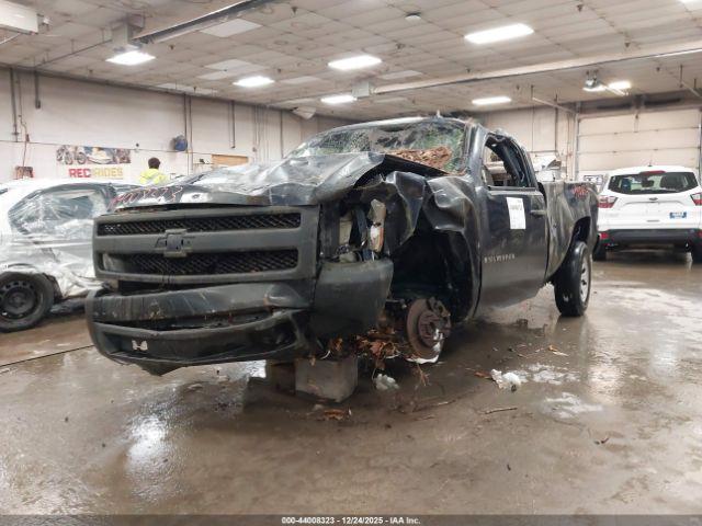 Chevrolet Silverado 1500 Work Truck Image 2