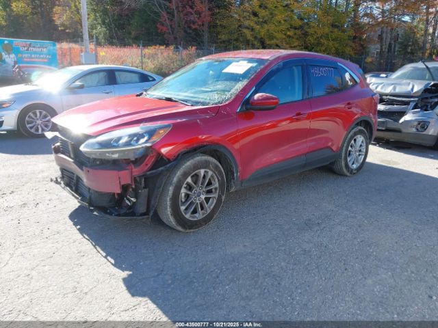 Ford Escape Se Image 2