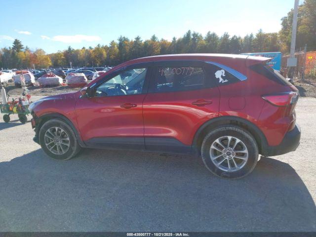 Ford Escape Se Image 10