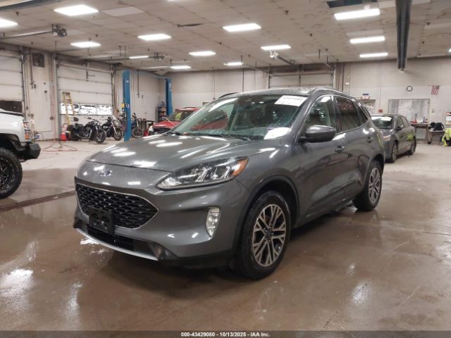 Ford Escape Sel Image 16