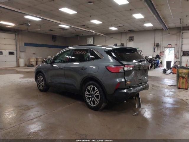 Ford Escape Sel Image 15