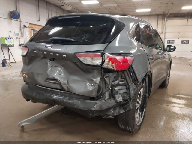 Ford Escape Sel Image 3