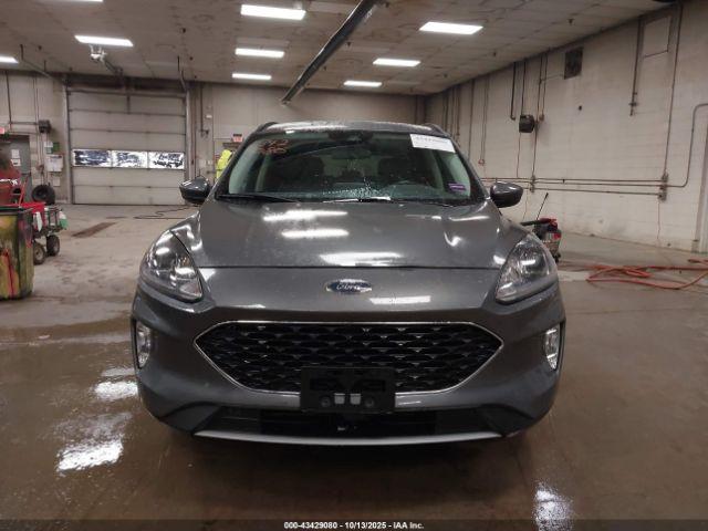 Ford Escape Sel Image 5