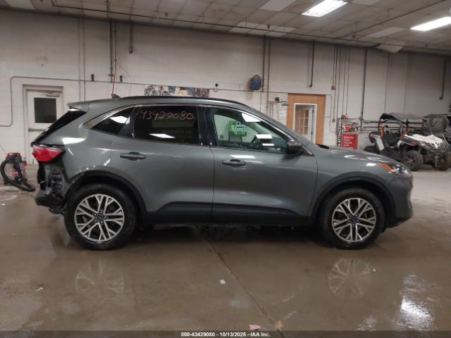 Ford Escape Sel Image 6