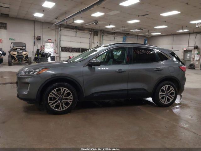 Ford Escape Sel Image 7