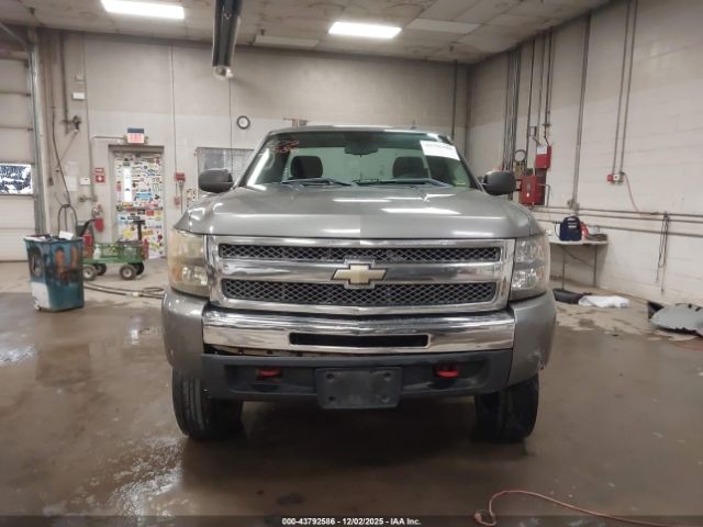 Chevrolet Silverado 1500 Work Truck Image 13