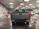 Chevrolet Silverado 1500 Work Truck Image 8