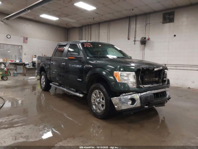 Ford F-150 Xlt Image 1