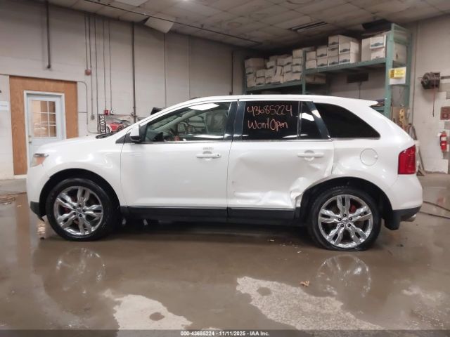 Ford Edge Limited Image 8