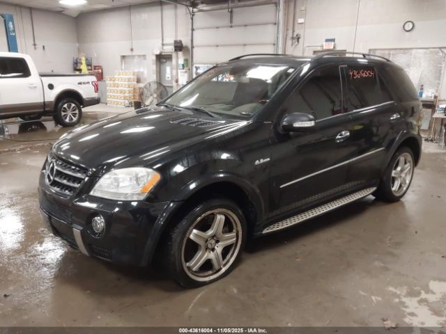 Mercedes-Benz M-Class 4matic Image 10