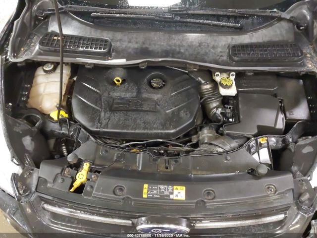 Ford Escape Se Image 12