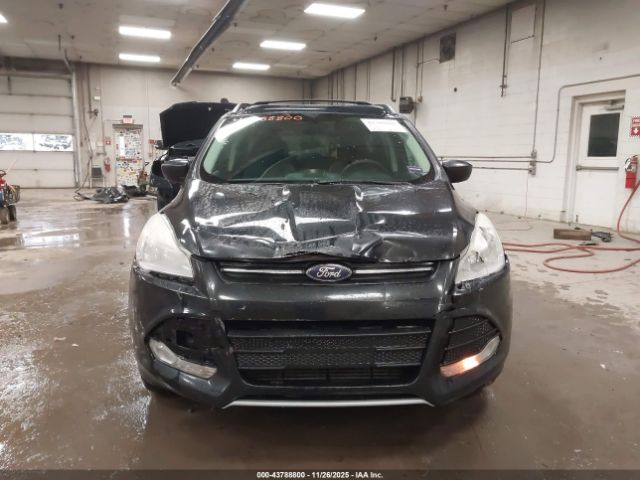 Ford Escape Se Image 5