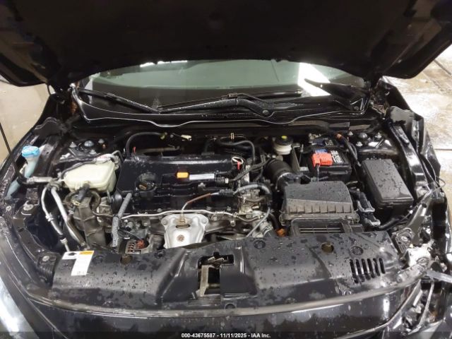 Honda Civic Lx Image 8