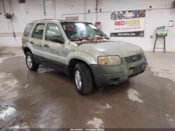  Salvage Ford Escape
