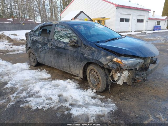 Toyota Corolla Le Image 1