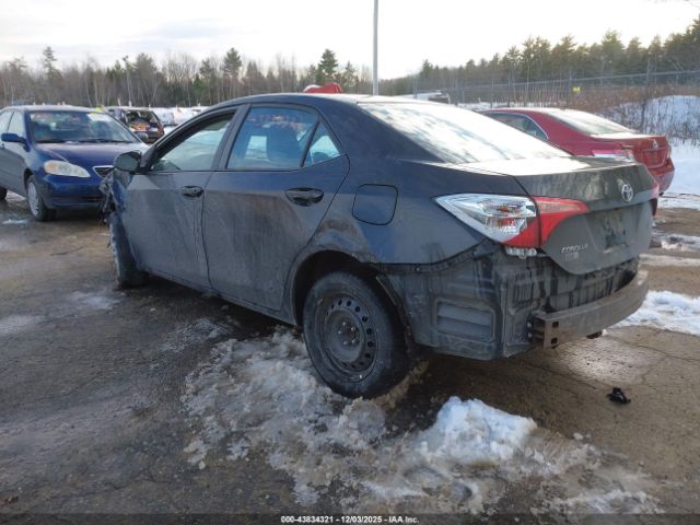 Toyota Corolla Le Image 2