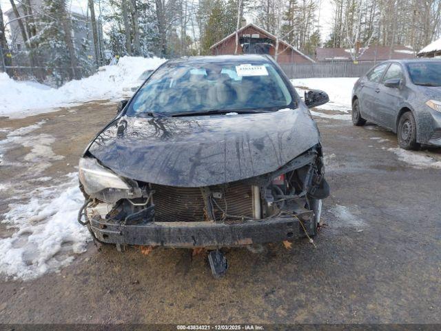 Toyota Corolla Le Image 8