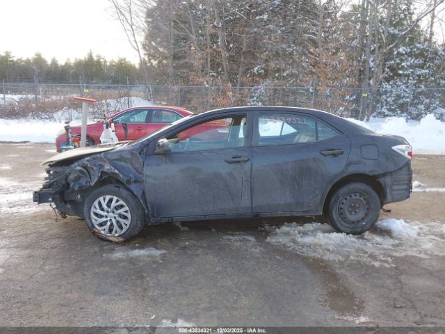 Toyota Corolla Le Image 16