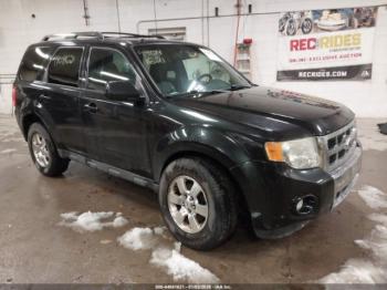  Salvage Ford Escape