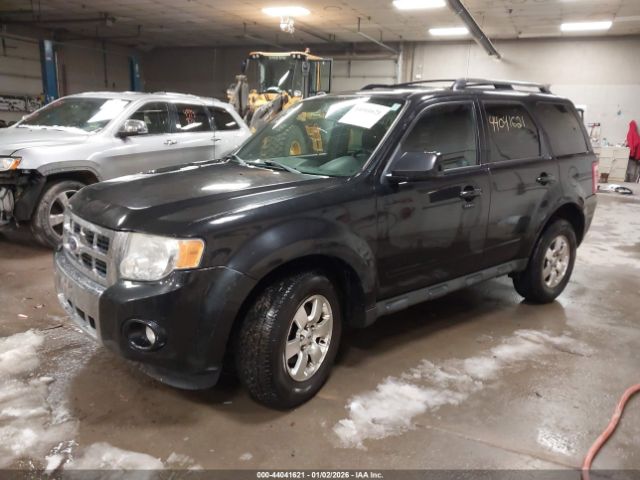 Ford Escape Limited Image 8