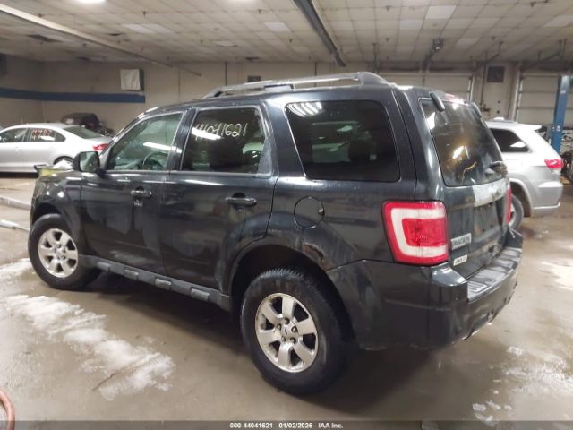 Ford Escape Limited Image 9