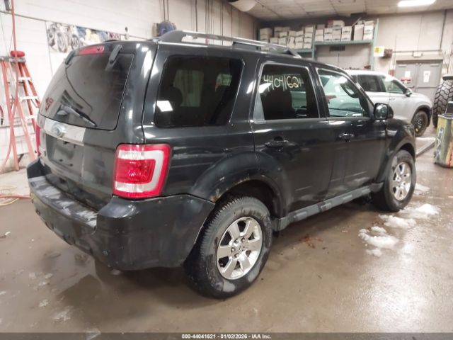 Ford Escape Limited Image 7