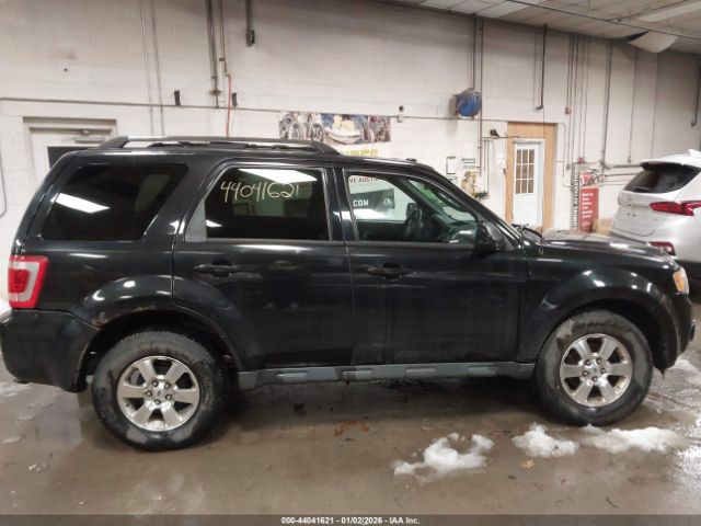 Ford Escape Limited Image 6