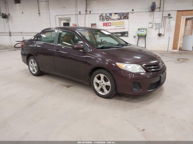 Toyota Corolla Le Special Edition Image 1