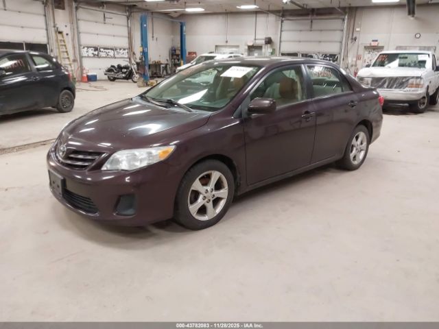 Toyota Corolla Le Special Edition Image 12