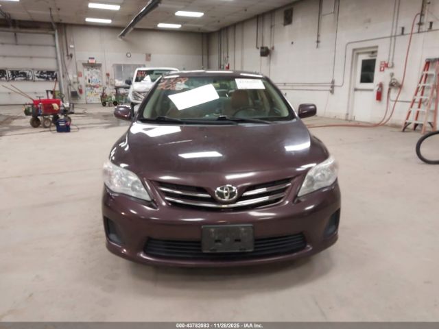 Toyota Corolla Le Special Edition Image 14