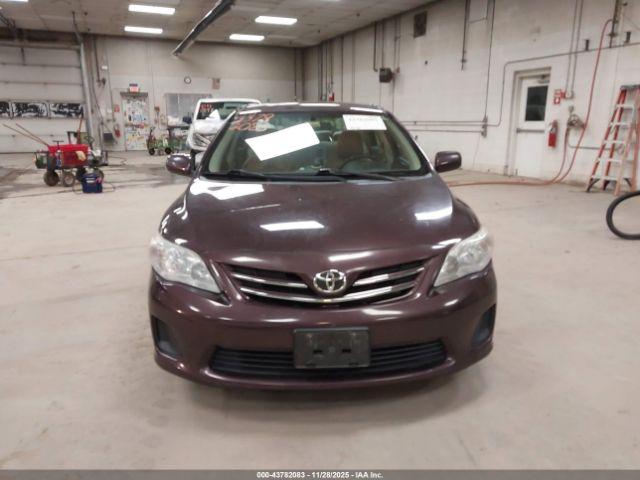 Toyota Corolla Le Special Edition Image 14