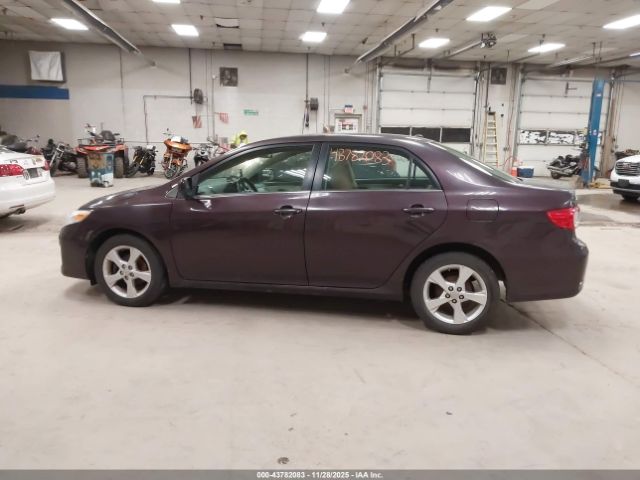 Toyota Corolla Le Special Edition Image 8