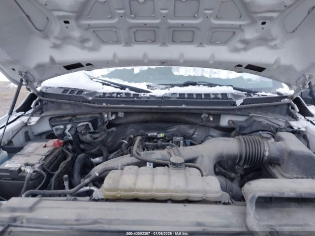 Ford F-150 Xl Image 2